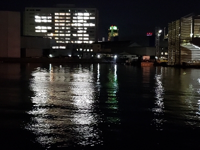 太刀魚はどこに？