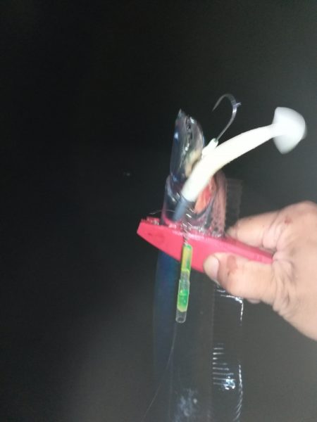 サーフタチウオ