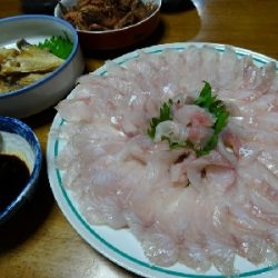 シーバス55センチ