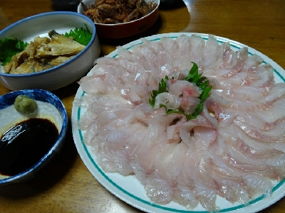 シーバス55センチ