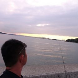 カマスにアジに。。。