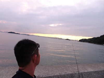 カマスにアジに。。。