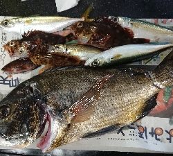 コスモで落とし込み