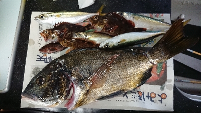 コスモで落とし込み