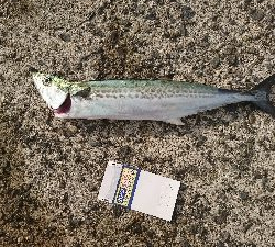 気付いたら３種目