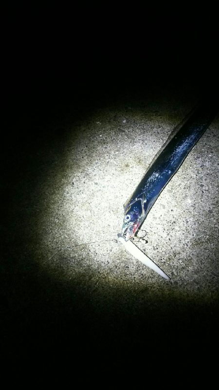 ベルトサイズ…