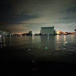 タチウオ20越え