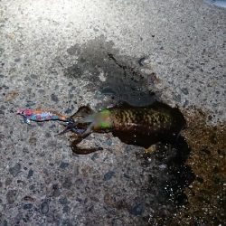 旅行合間釣行！！