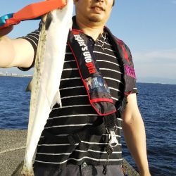 今季初ドラゴン