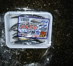 気候が良くなってきました