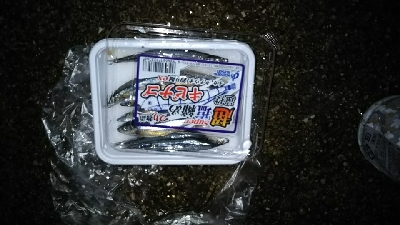 気候が良くなってきました