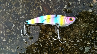 青物が釣れない…