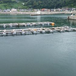 まさか、キミか・・・