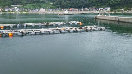 まさか、キミか・・・