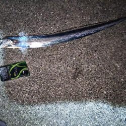 ポートアイランド沖堤防