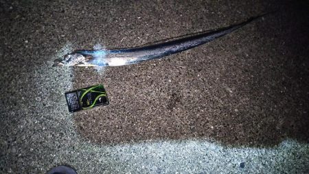 ポートアイランド沖堤防