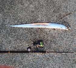 台風後の神戸沖堤防