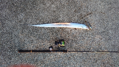 台風後の神戸沖堤防