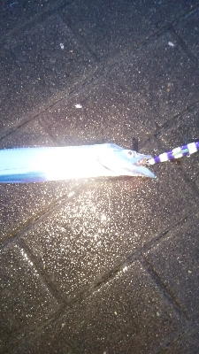 雨の中、台風前に