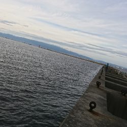 タチウオ時合い短いです。