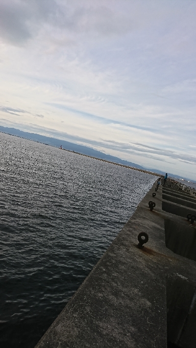 タチウオ時合い短いです。