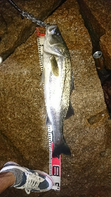 最高記録更新ならず(  ；∀；)