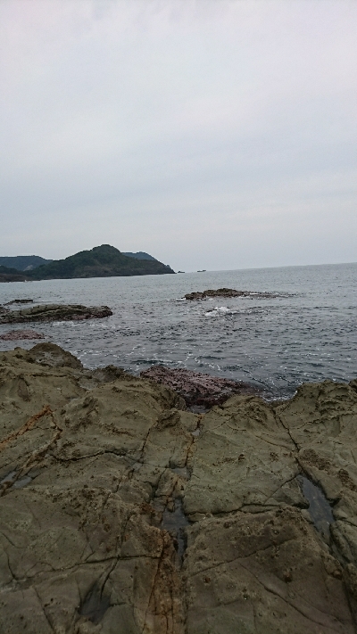 数年ぶりのイカ(´ε｀ )