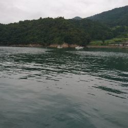 う～ん アオリ 渋い