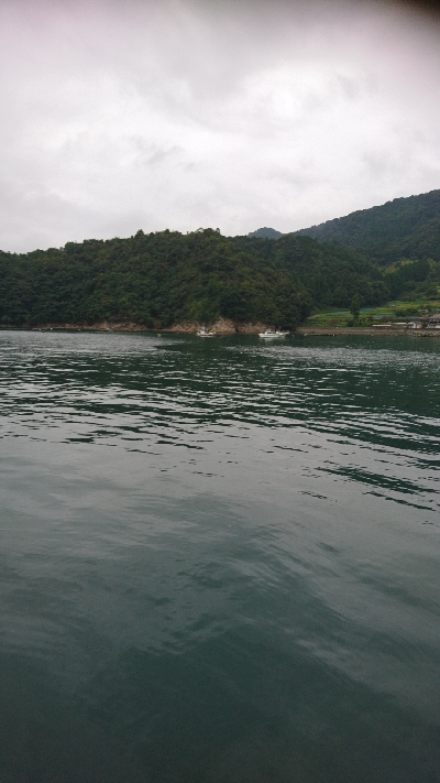 う～ん アオリ 渋い