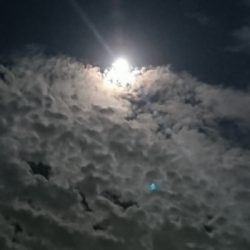 何とか坊主逃れ^_^;