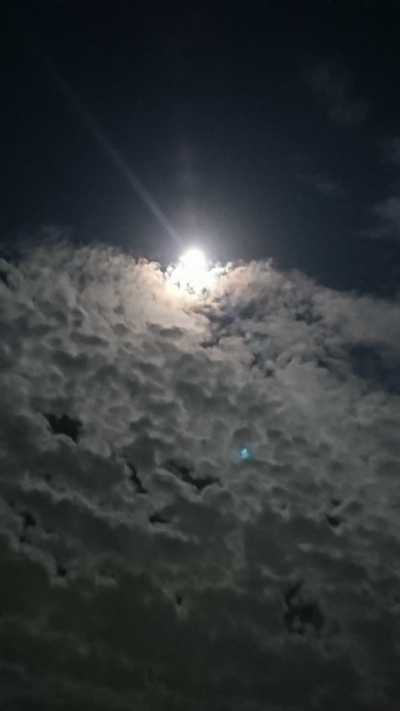 何とか坊主逃れ^_^;