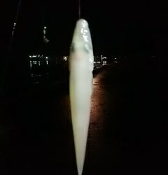 キス、真鯛、オオモンハタ