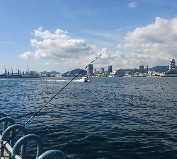 久しぶりのサビキ