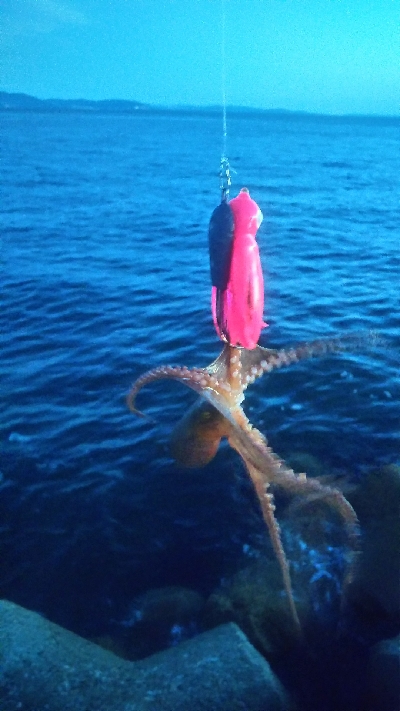 パッとしない釣果