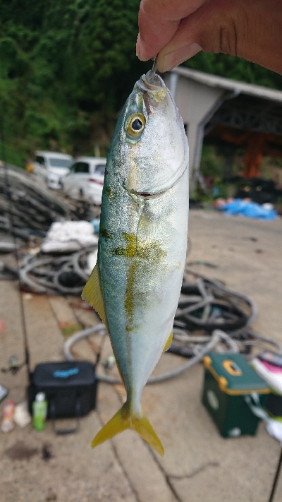 エギング byイカ臭い男達