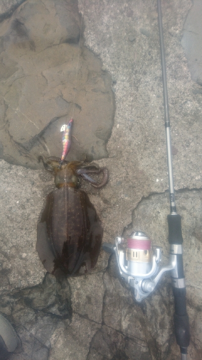 秋イカエギング