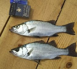 びしょ濡れ(ToT)