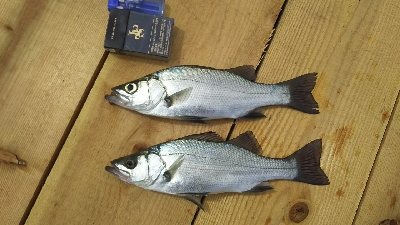 びしょ濡れ(ToT)