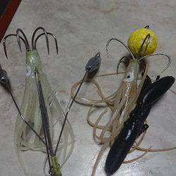 チビばかりですが…