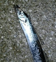 好調のはずが…