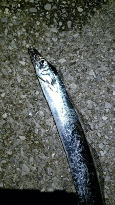 好調のはずが…