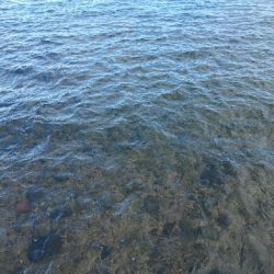 30センチサイズのカマス20本超え！