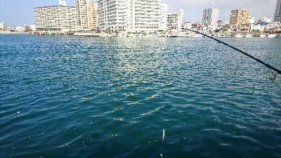 子供とサビキ釣り