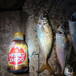 久々のアジング♪