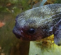 ちっちゃい(-_-;)