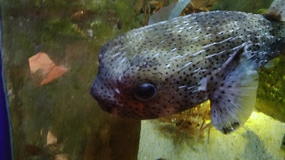 ちっちゃい(-_-;)