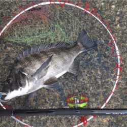 曇天で雰囲気バツグン！