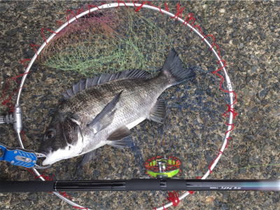曇天で雰囲気バツグン！