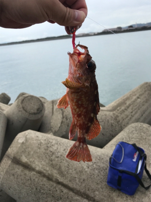 雨の止み間に穴釣り