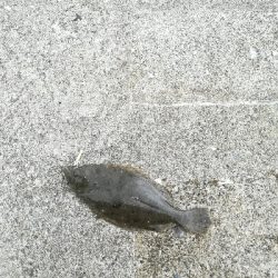 リバーフィッシング